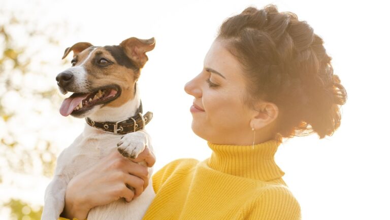 Quais fatores considerar antes de adotar um cão